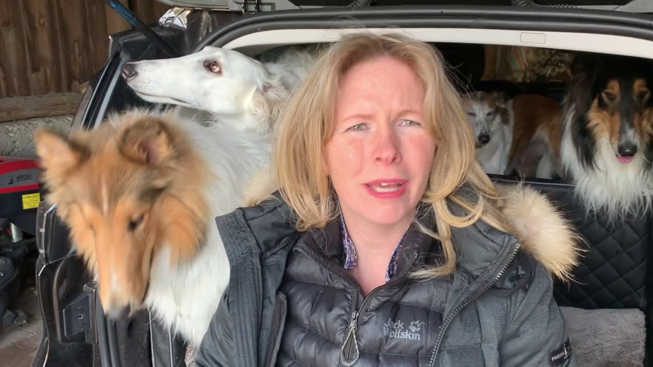 Ruhiges Aussteigen aus dem Auto