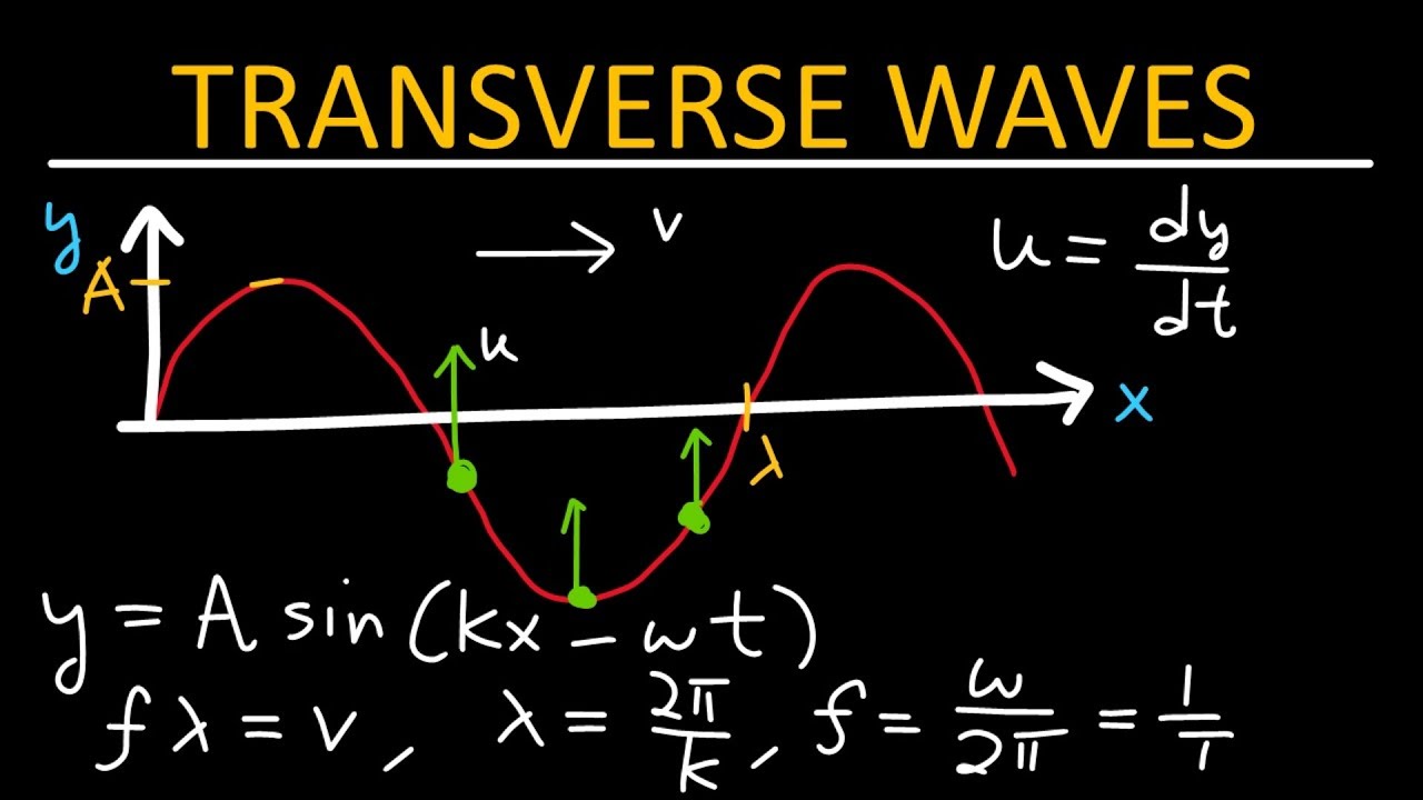 Understanding transverse waves - Physics