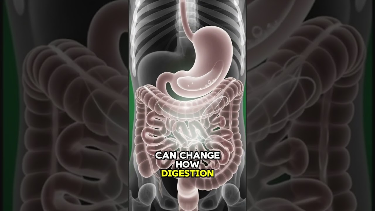 Coconut Water for Cats: Good or Not?