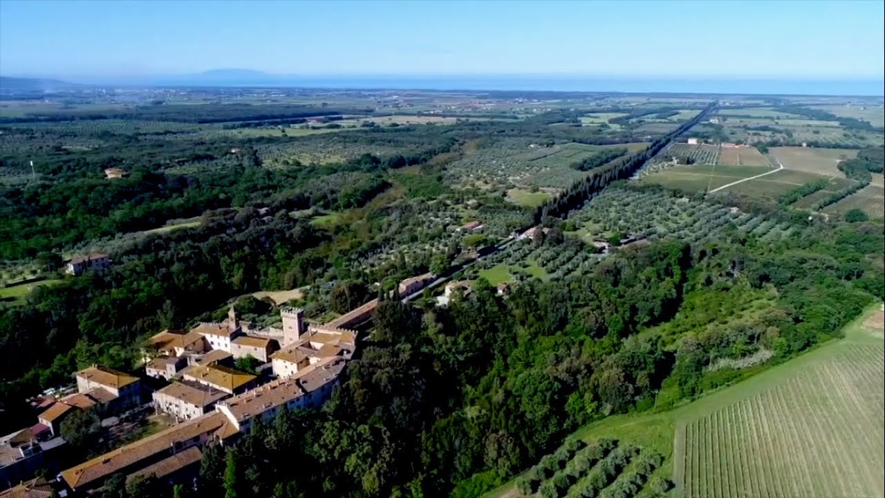 Bolgheri, territorio tra i più importanti d’Italia, corona di gioielli enoici, continua a crescere