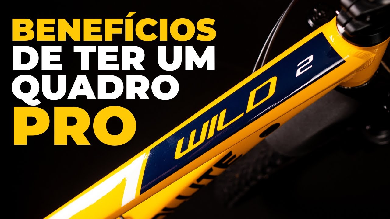 Benef&iacute;cios de ter um quadro profissional na bicicleta. Pedaleria