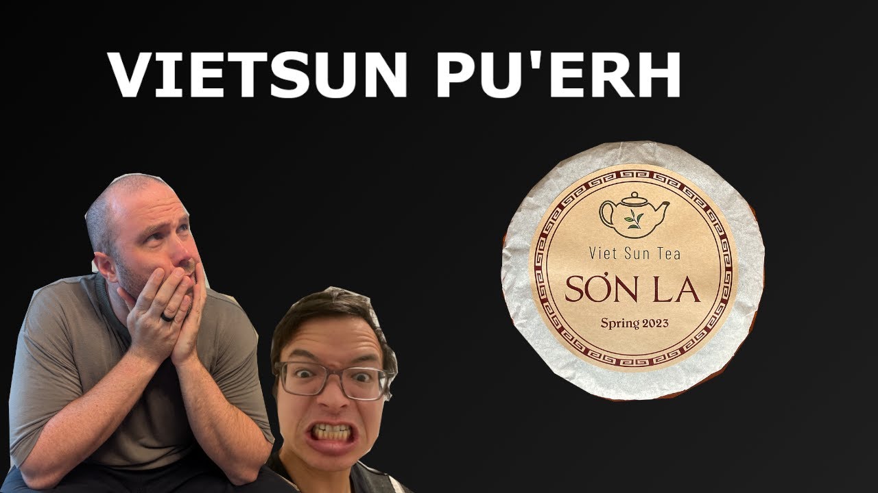 Vietnamese Pu'erh!? Vietsun Sơn La Spring Raw Tea  [Episode 537]