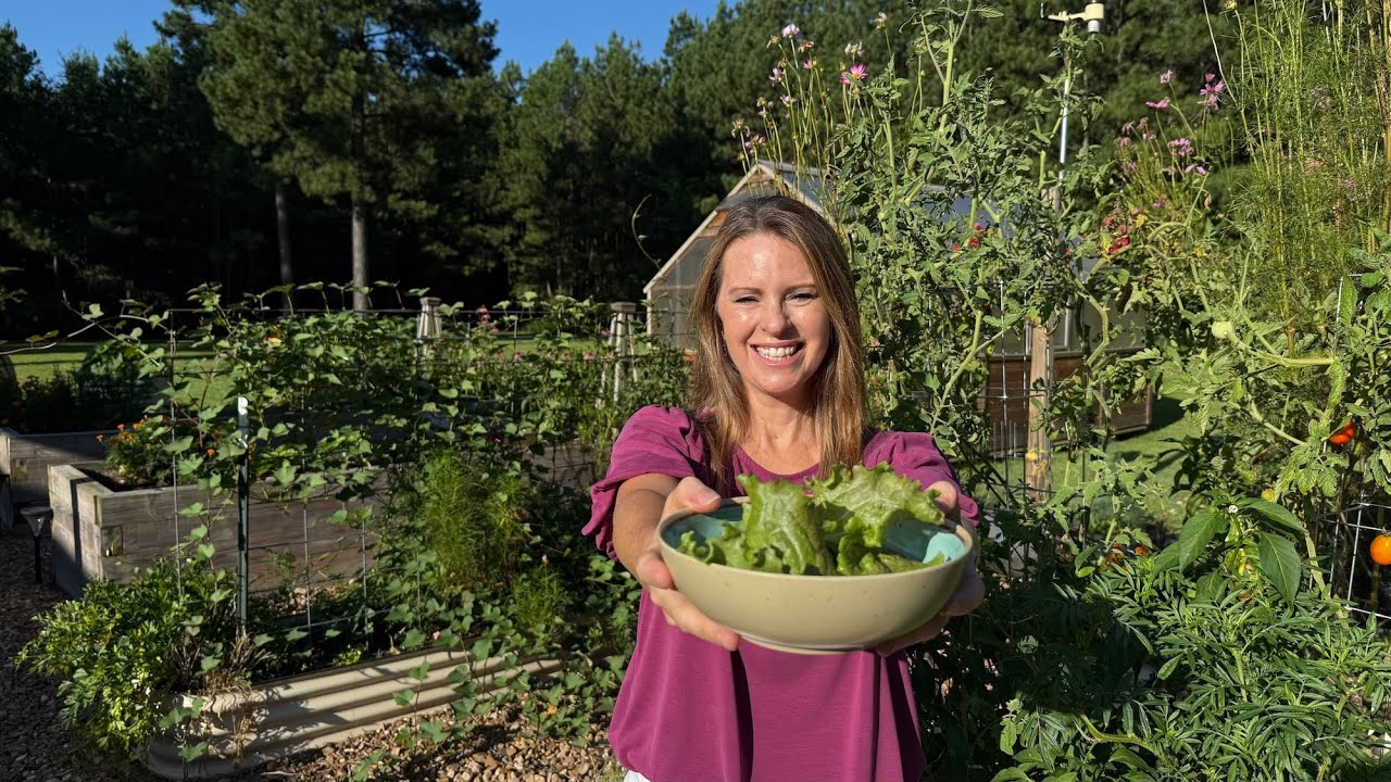 The Best Salad Green Varieties for Spring, Summer, and Fall
