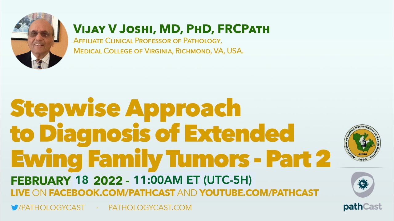 Stepwise Approach to Diagnosis of extended Ewing family tumors - part 2