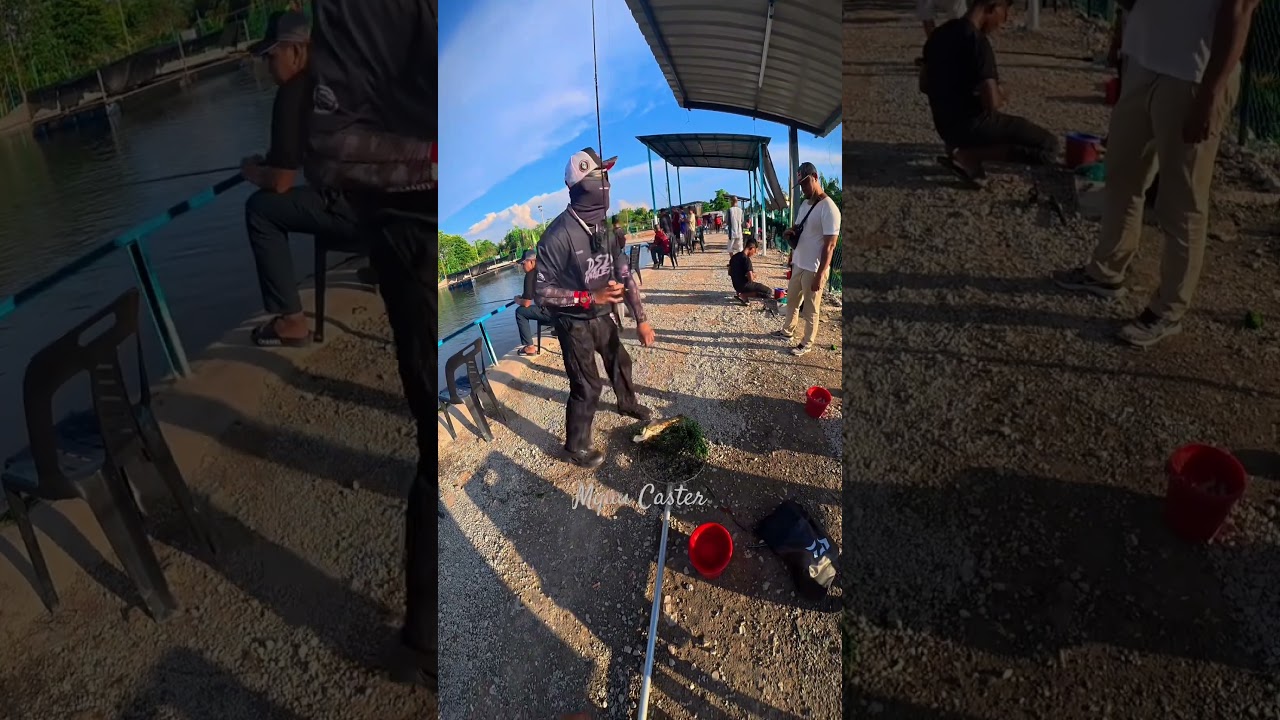 kolam d bakau sepetang