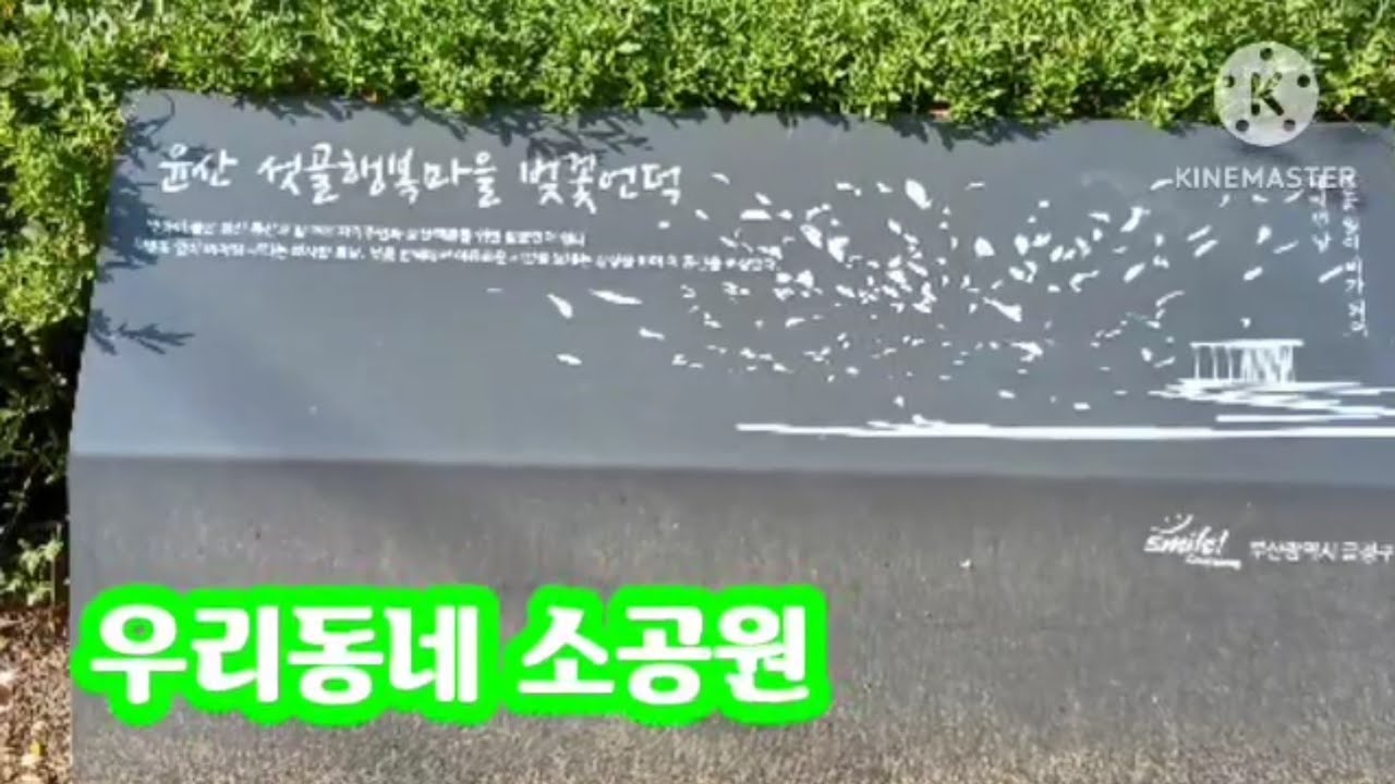 초보 유튜브 우리동내공원 소개