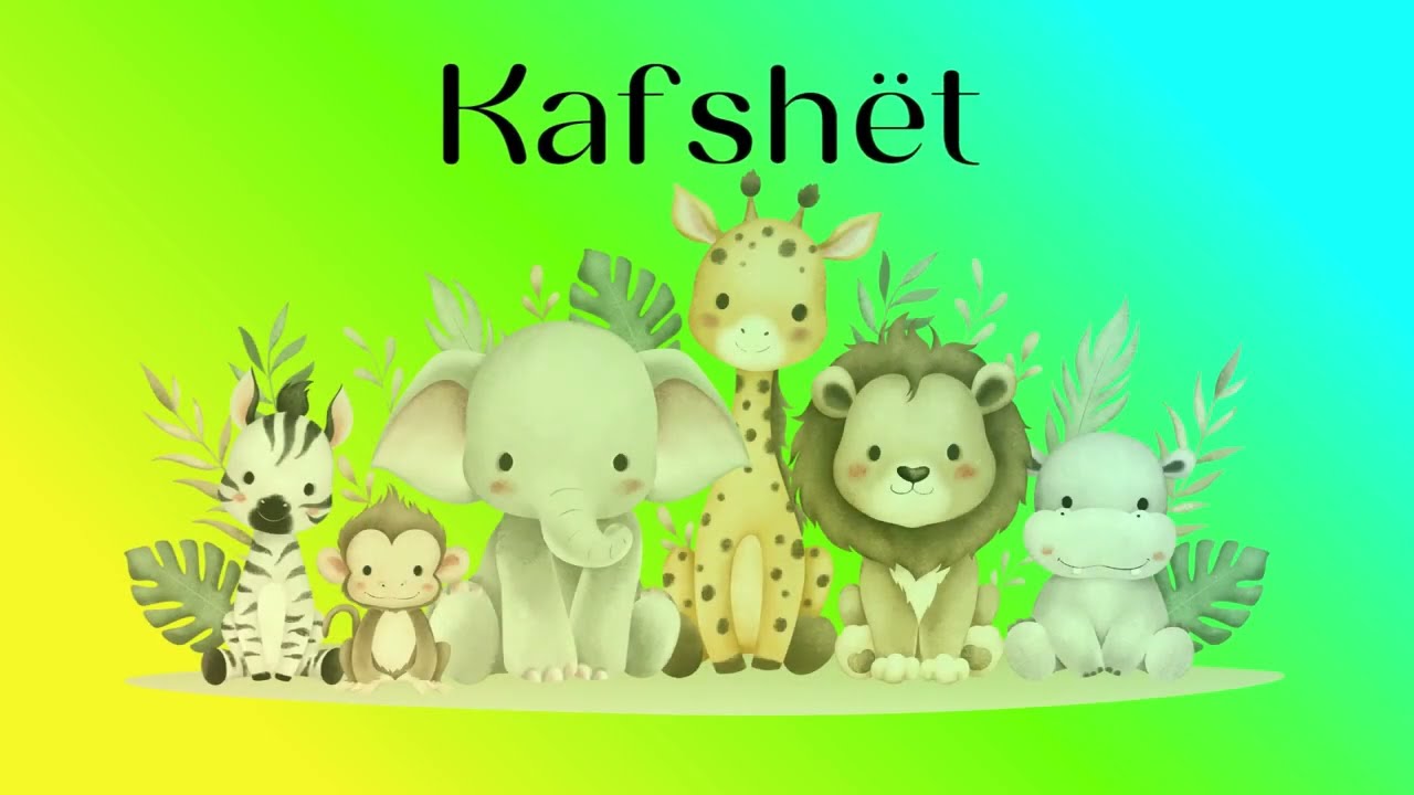 🎶 Kafshët 🎶🐒 #shqip