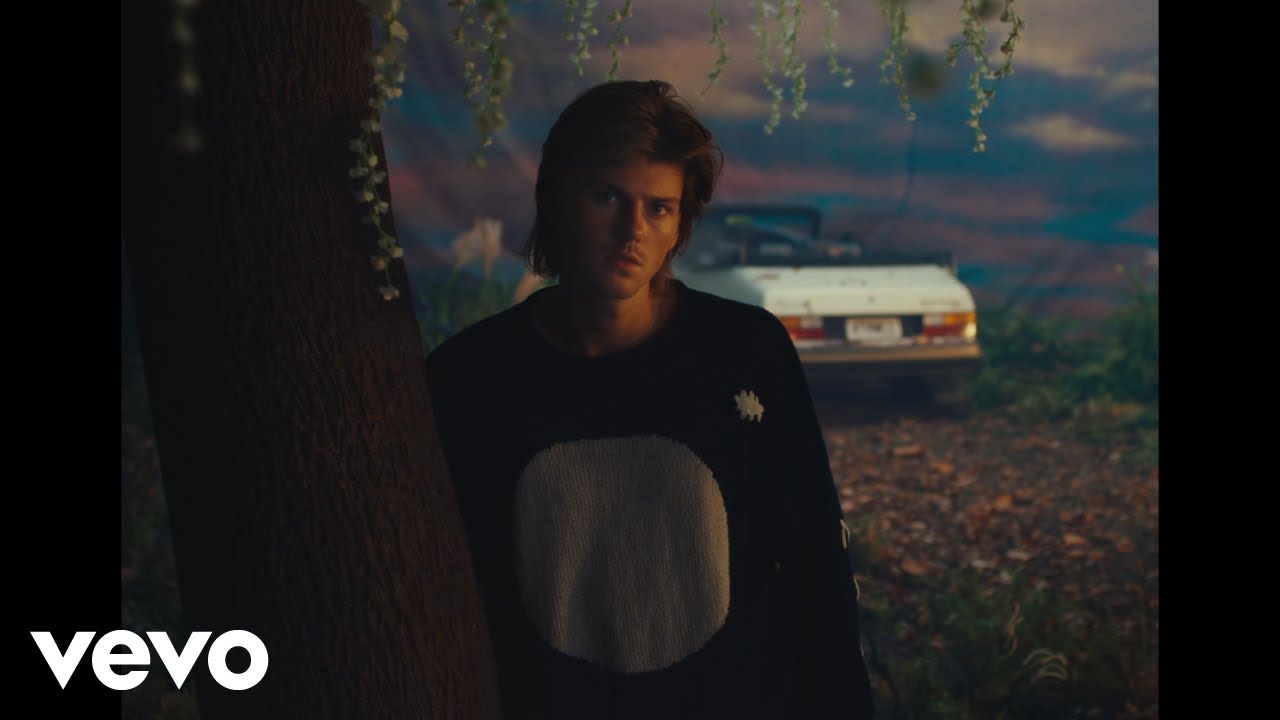 Ruel - JAPANESE WHISKEY (Visualizer)