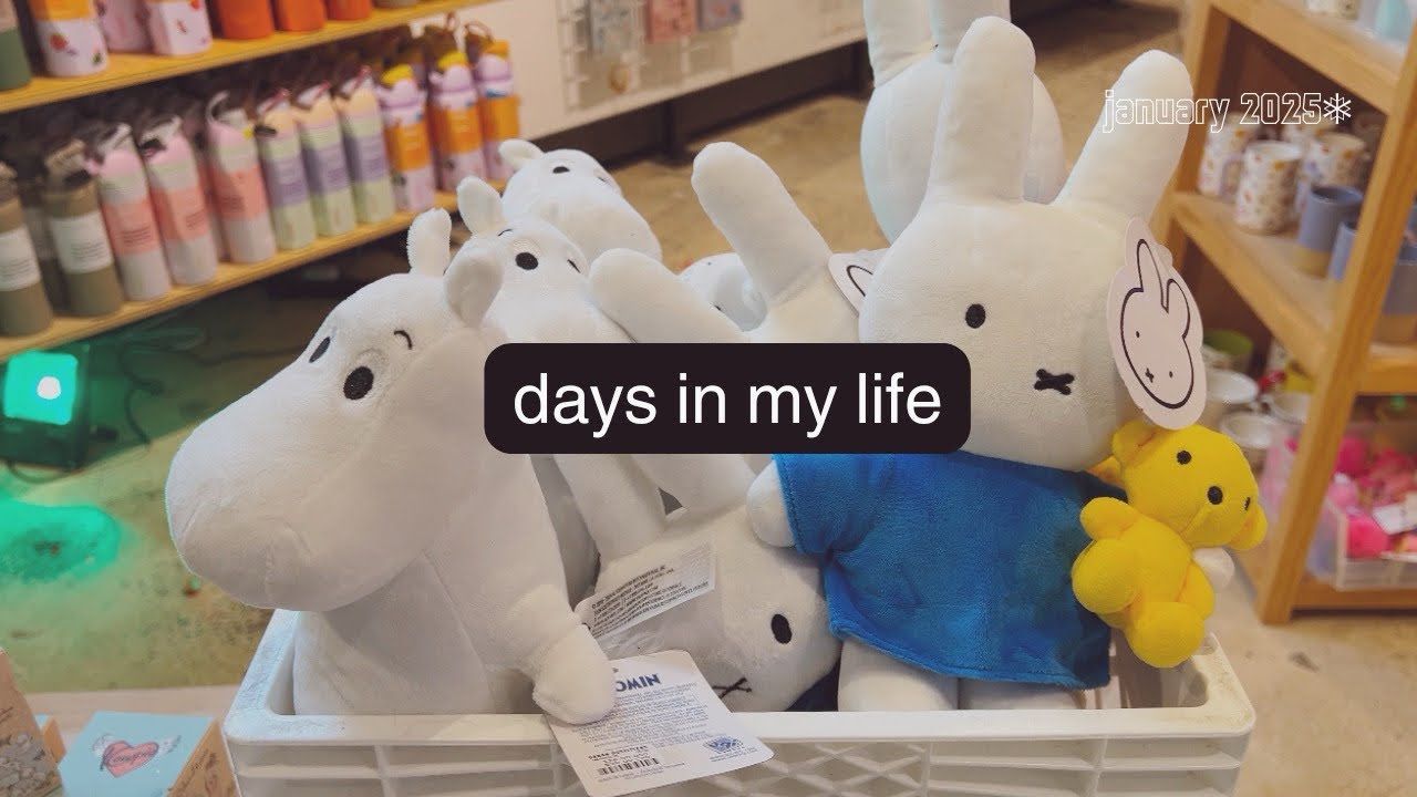 Days in my life: Shop with me, baking, New Bag #aestheticdiaries baggu #miffy