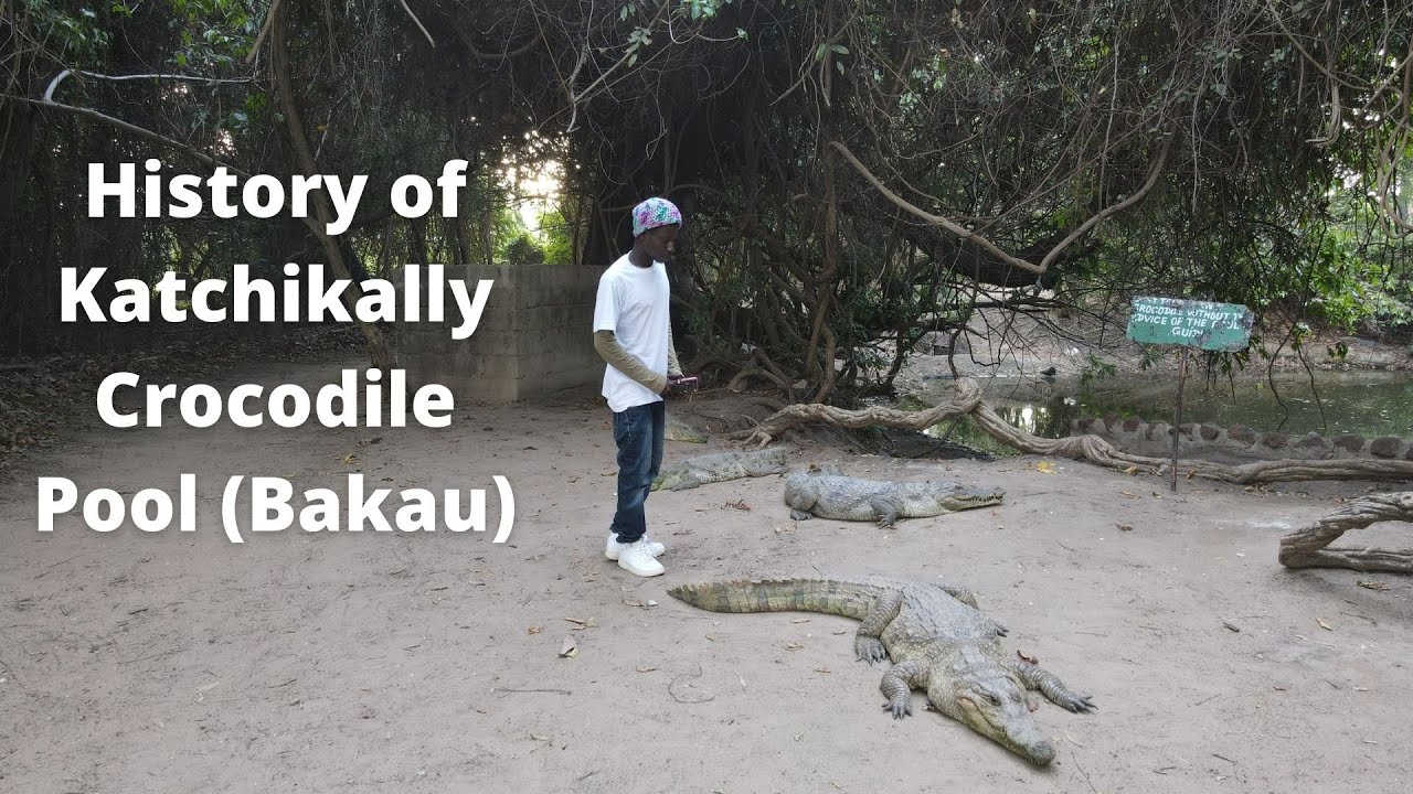 History of Katchikally Crocodile Pool (Bakau)