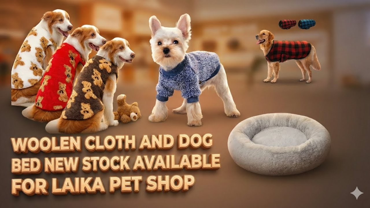 Best Dog Winter Collection 2025 | Dog Sweaters & Beds - Laika Pet Shop