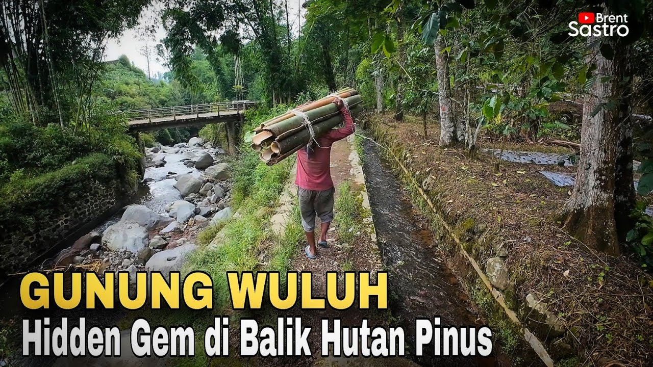 HIDDEN GEM DI BALIK HUTAN PINUS | GUNUNG WULUH TEMANGGUNG