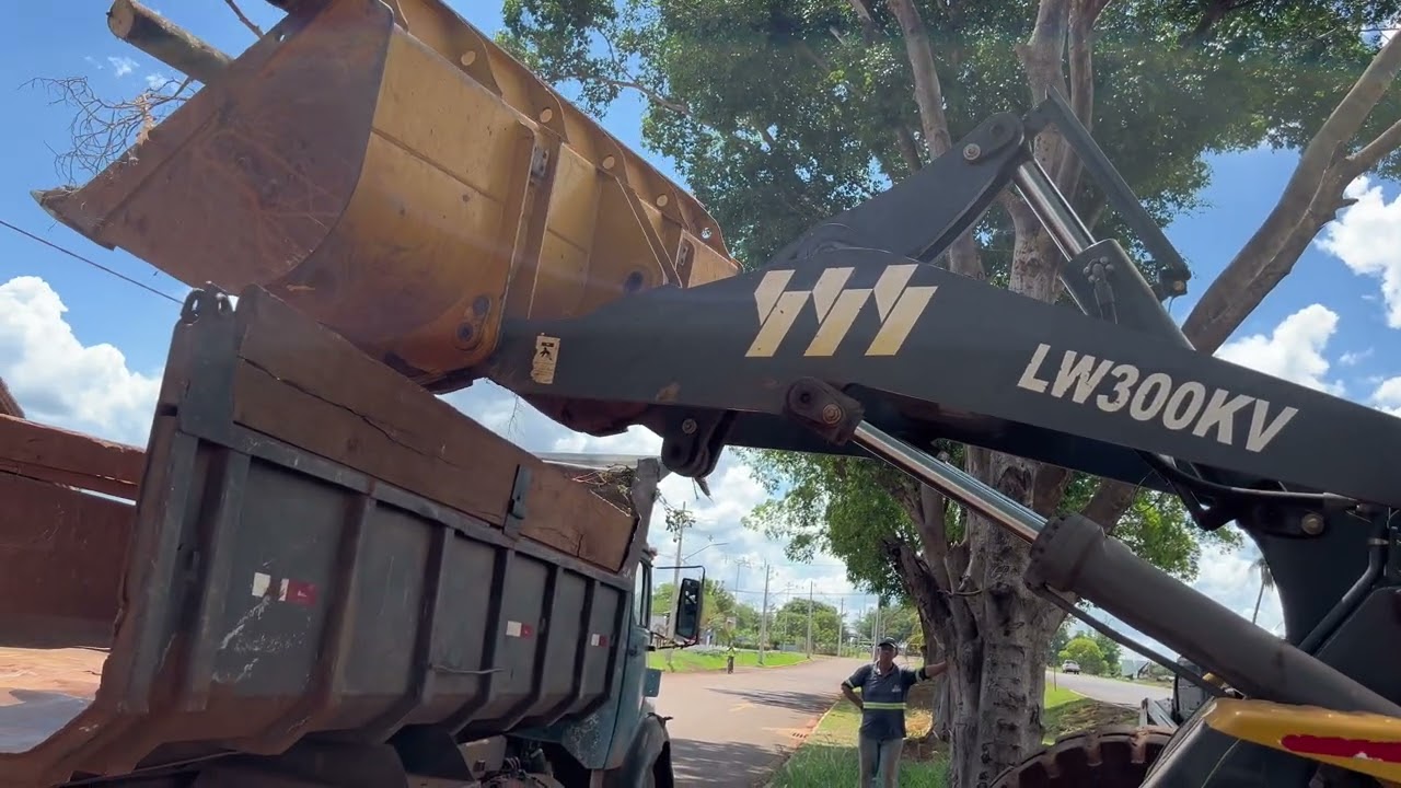 We went to remove a fallen tree | city cleaning