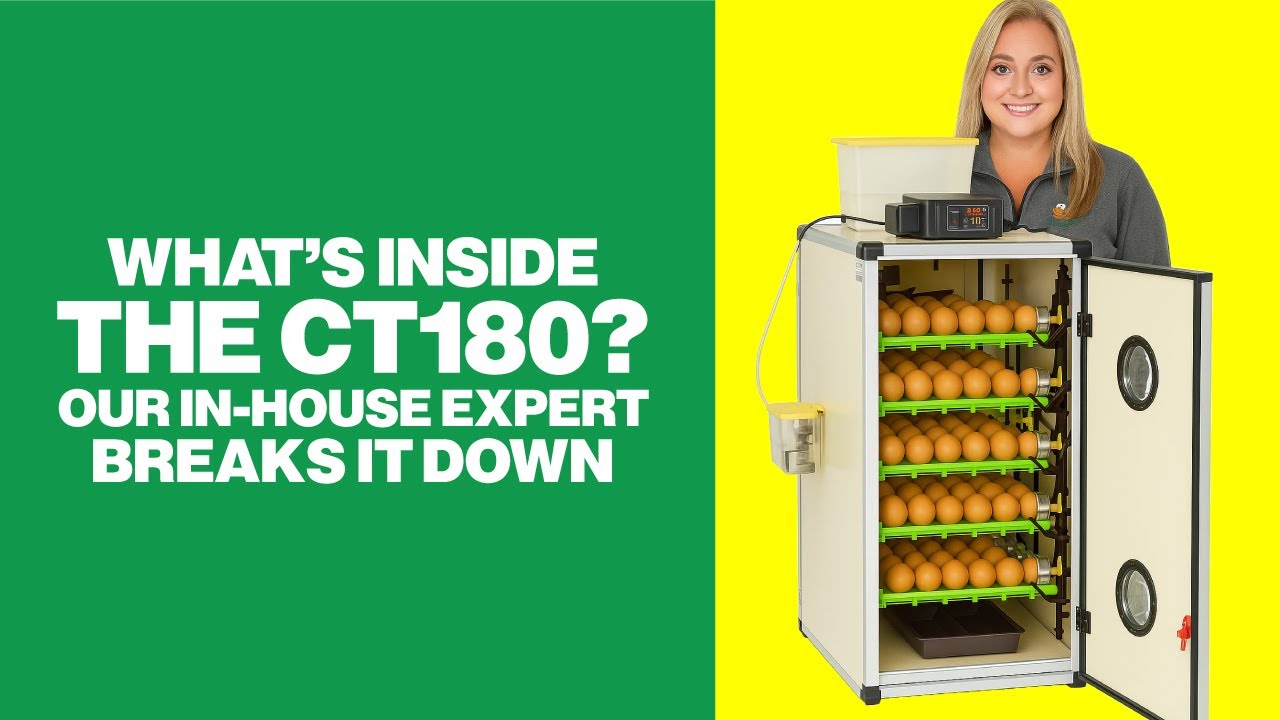 What’s Inside the CT180? Our In-House Expert Breaks It Down