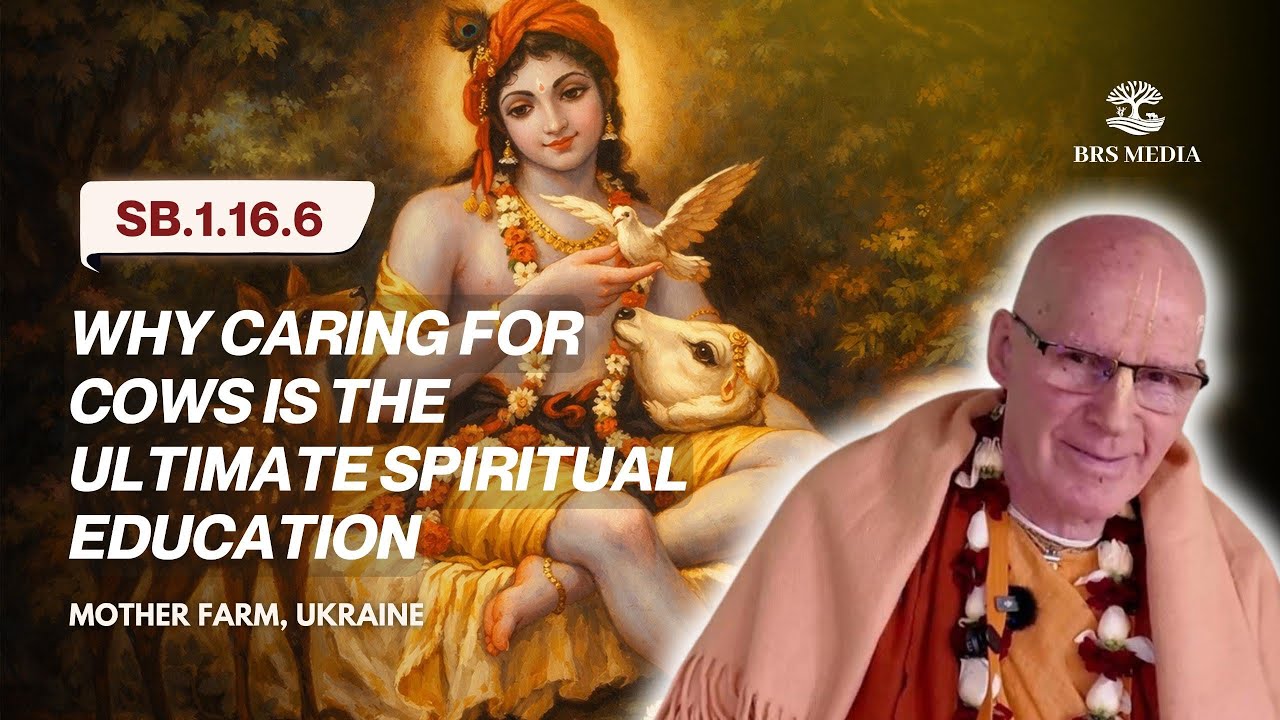 Why Caring for Cows is the Ultimate Spiritual Education | Mother Farm, Ukraine  | SB.1.16.6 | BRS