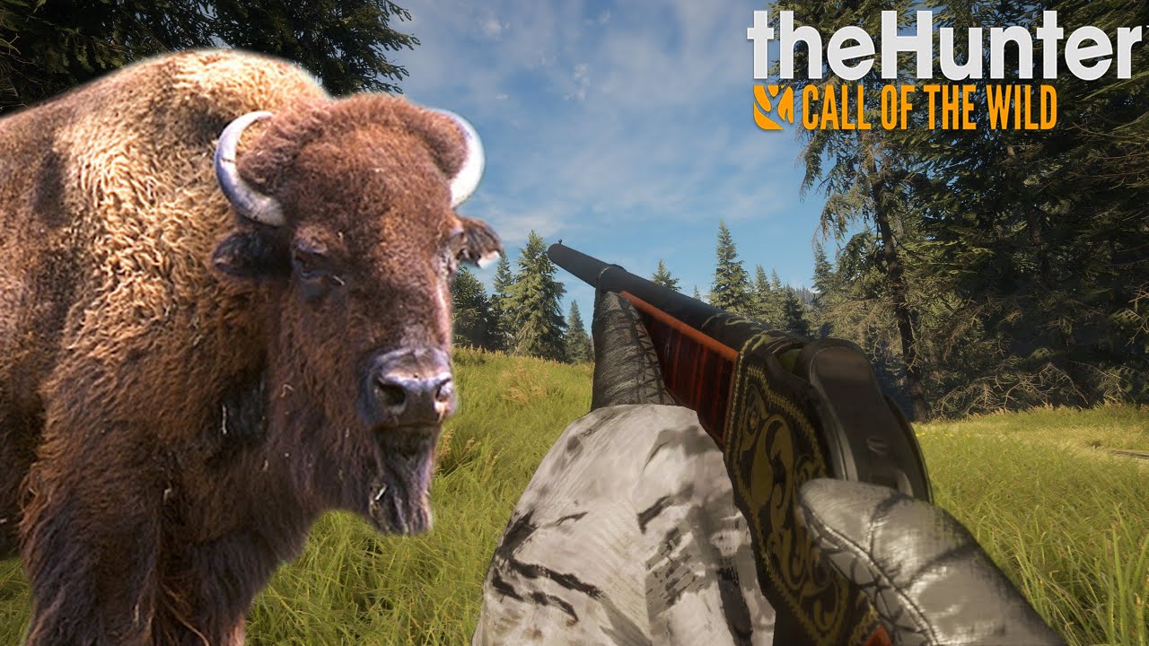 THEHUNTER COTW #124 UNE CHASSE AUX BISONS