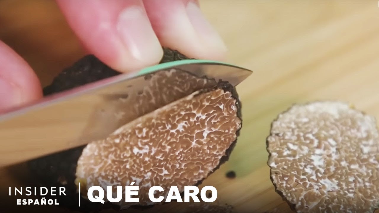 Por qu&eacute; las trufas verdaderas son tan caras | Qu&eacute; caro