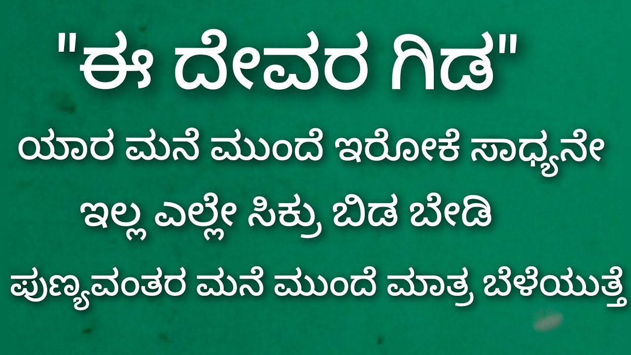 ದೇವರ ಗಿಡ ಹಣ ಅಭಿರುದ್ದಿಗಾಗಿ ಆರೋಗ್ಯ ಪ್ರಾಪ್ತಿಗಾಗಿ 