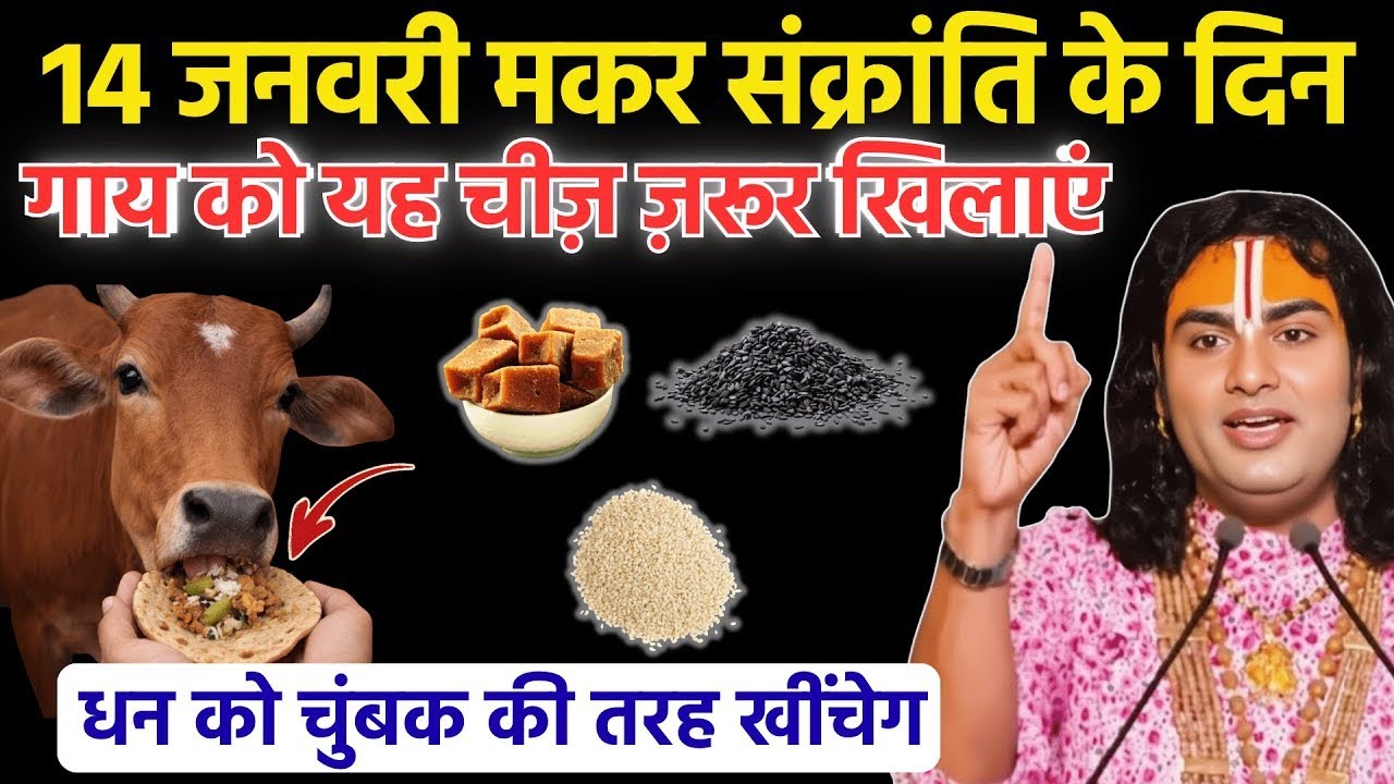 14 जनवरी मकर संक्रांति के दिन गाय को खिला देना, यह 1 चीज मालामाल होजाओगे! Aniruddhacharya Ji