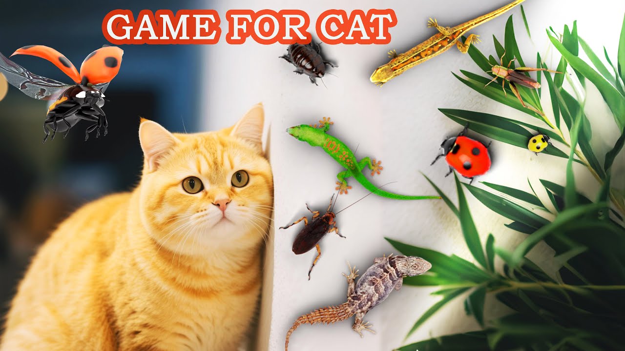 고양이가 좋아하는 영상・도마뱀, 메뚜기, 딱정벌레, 바퀴벌레, 새 잡기・3D GAME FOR CAT・고양이가 좋아하는 영상 5시간
