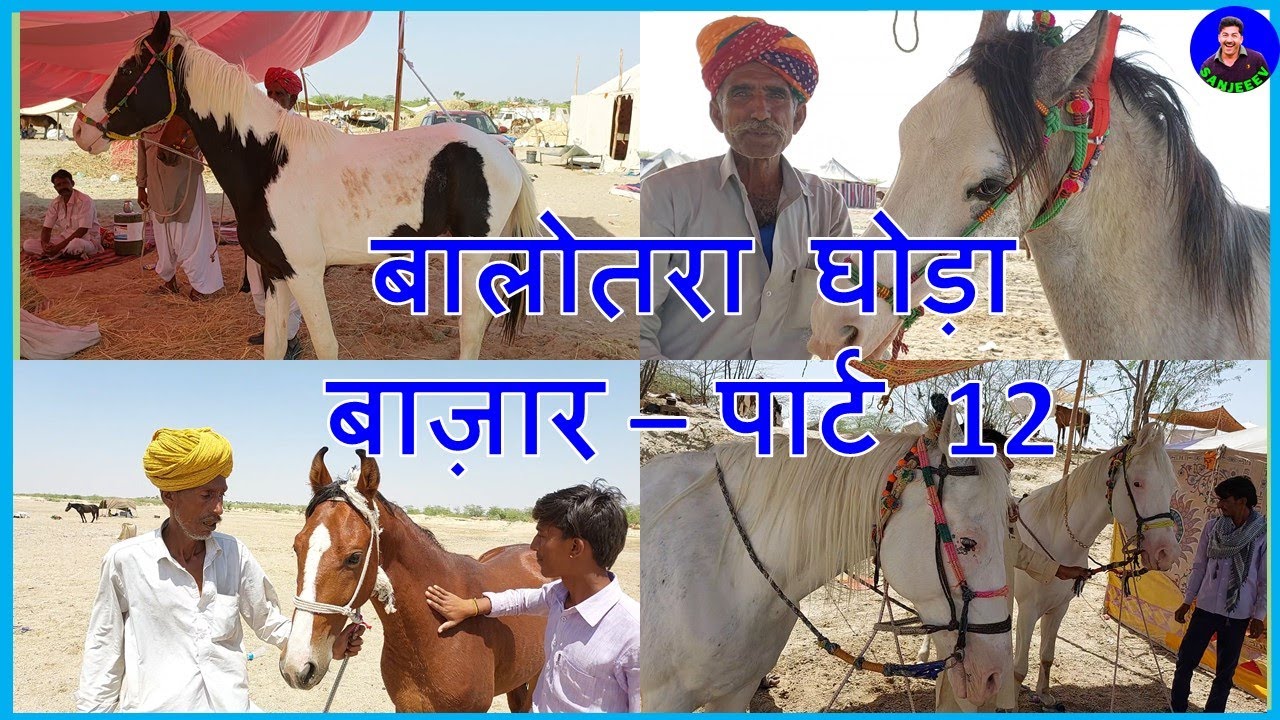 बिकाऊ घोड़े पार्ट 12 Balotra Horse Fair 2022 तिलवाड़ा घोड़ा मेला बाजार Horse Sale Market India Video