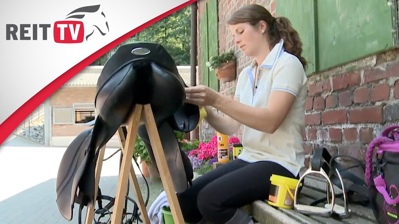 Ausrüstung: Sattelpflege und Reitzubehör - so pflegst du dein Lederequipment richtig!