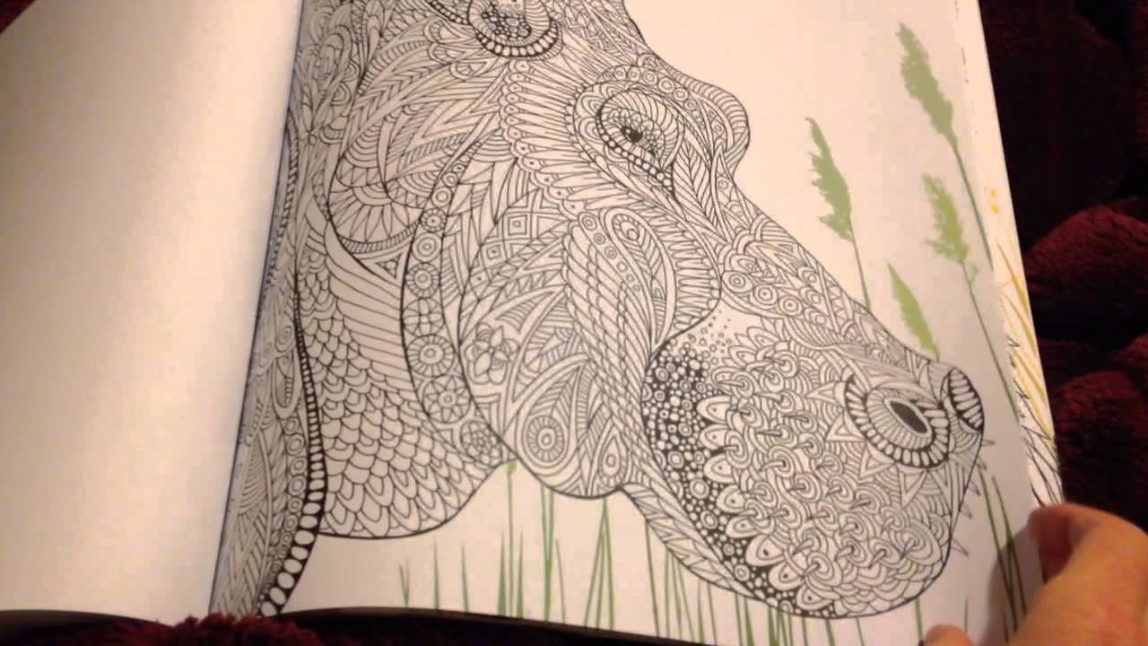 The Menagerie Colouring Book Flip Through!