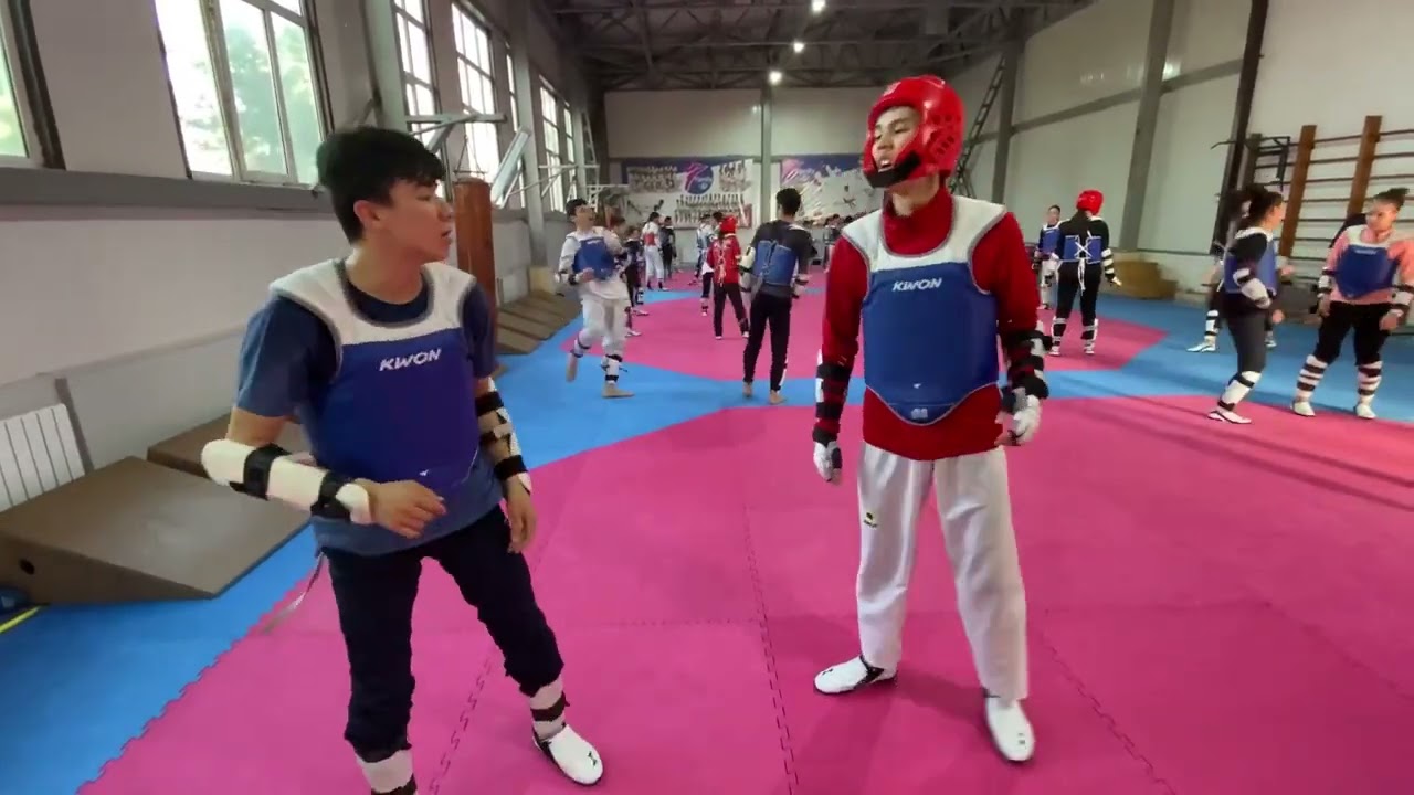 Обучаем Taekwondo WT