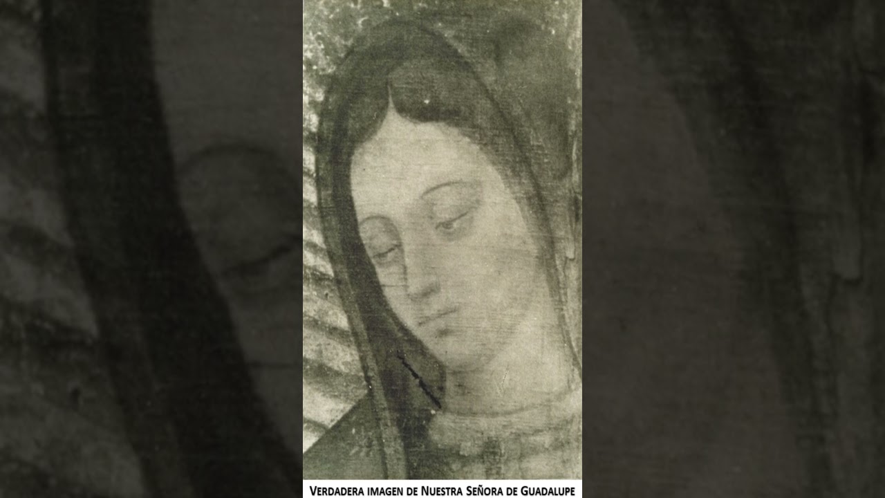 Verdadera imagen de la Sant&iacute;sima Virgen de Guadalupe - Rostro real de Nuestra Se&ntilde;ora Pura - #shorts