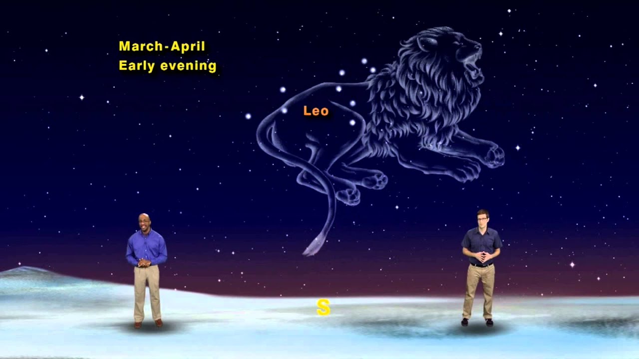 Star Gazers 