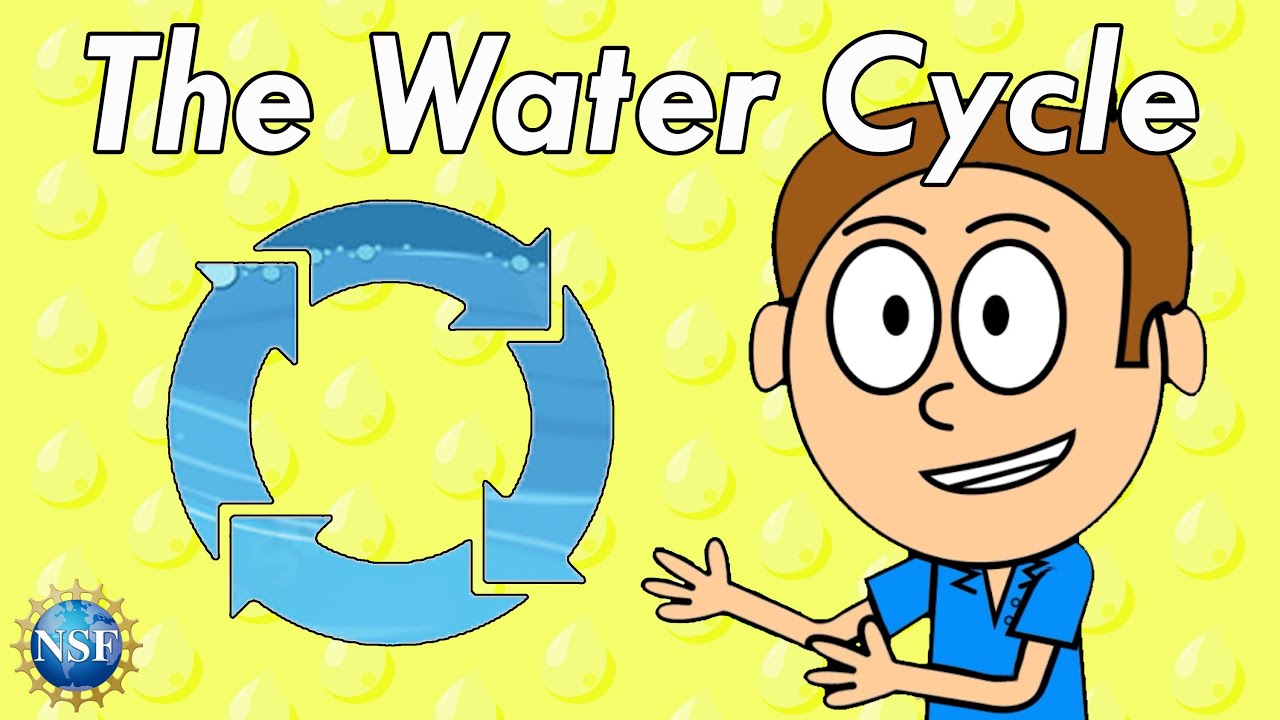 The Water Cycle! Science For Kids