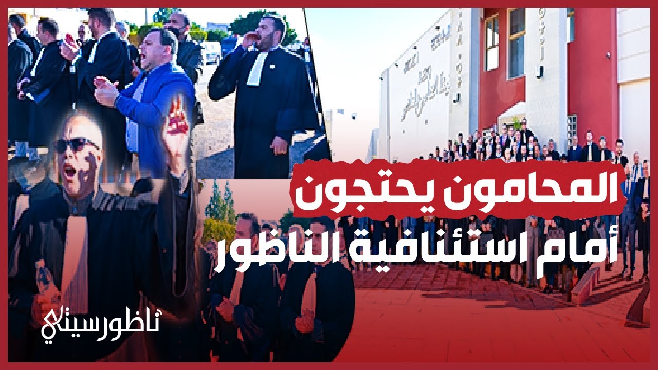 المحامون يحتجون أمام محكمة الاستئناف  بالناظور والسبب جواز التلقيح