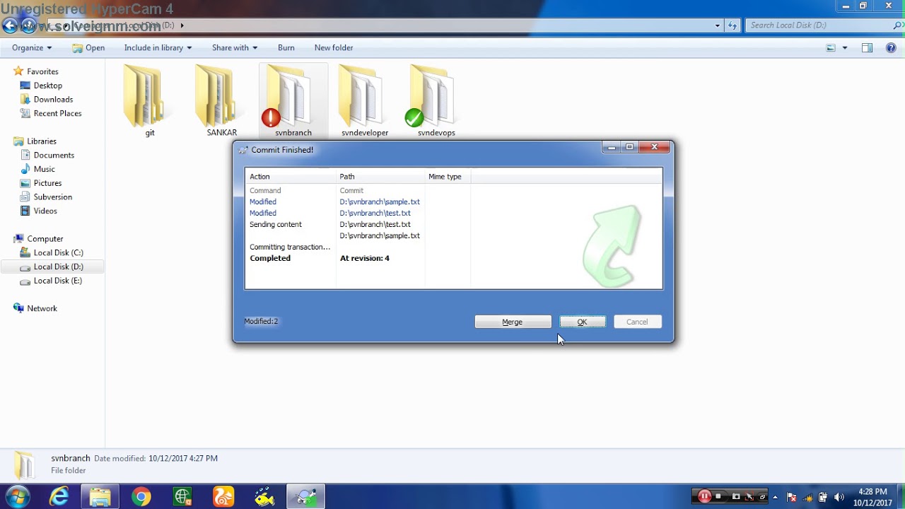 SVN Usage Process