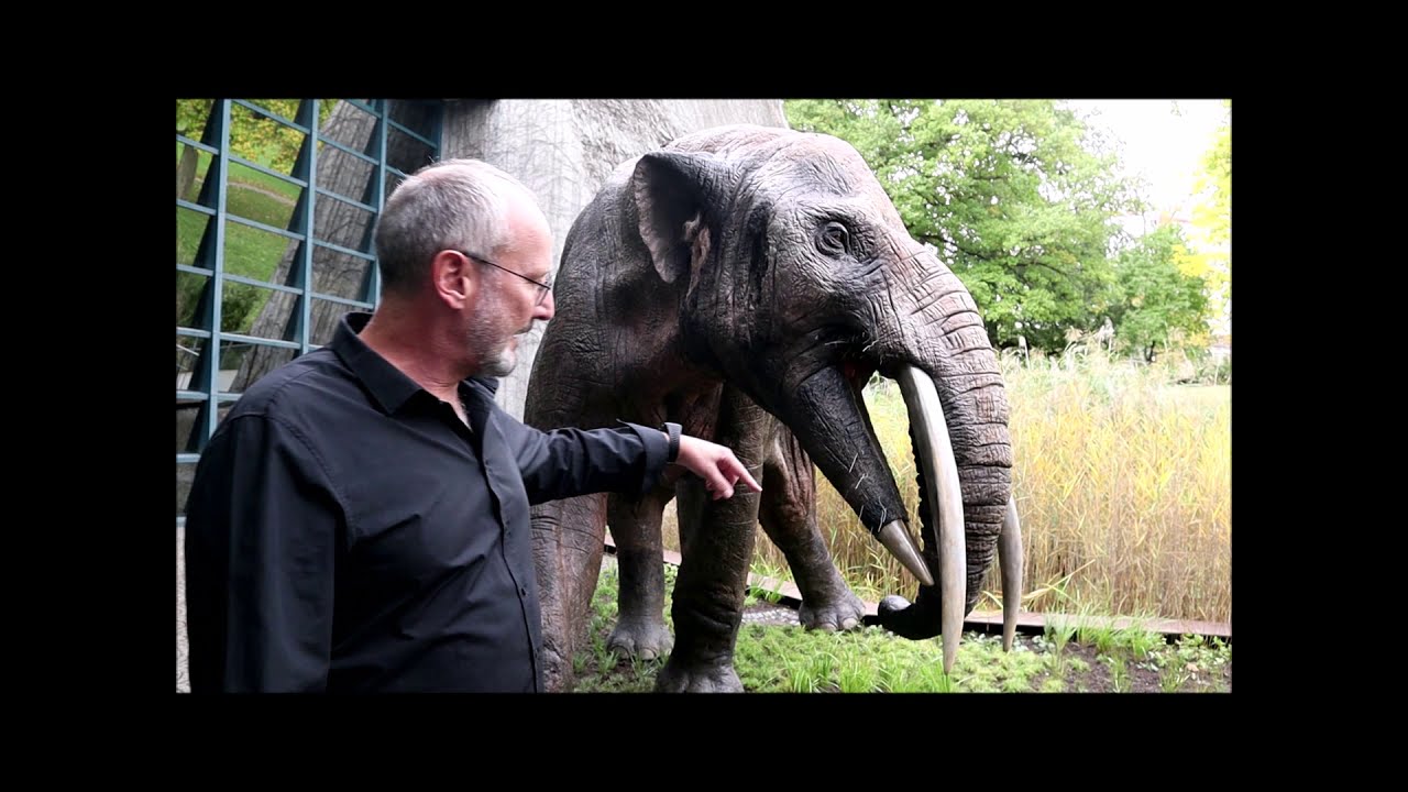 Terti&auml;r - Highlights der Ausstellung