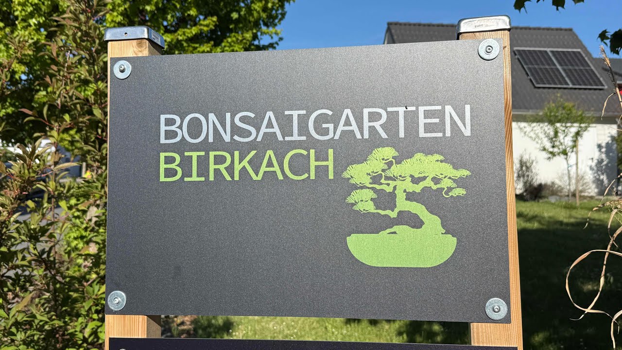 Welt-Bonsai-Tag im Bonsaigarten Birkach mit den Bonsai-Bros
