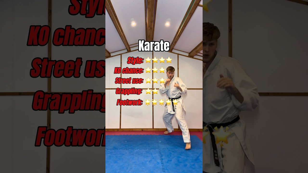 Rating each martial art&hellip;