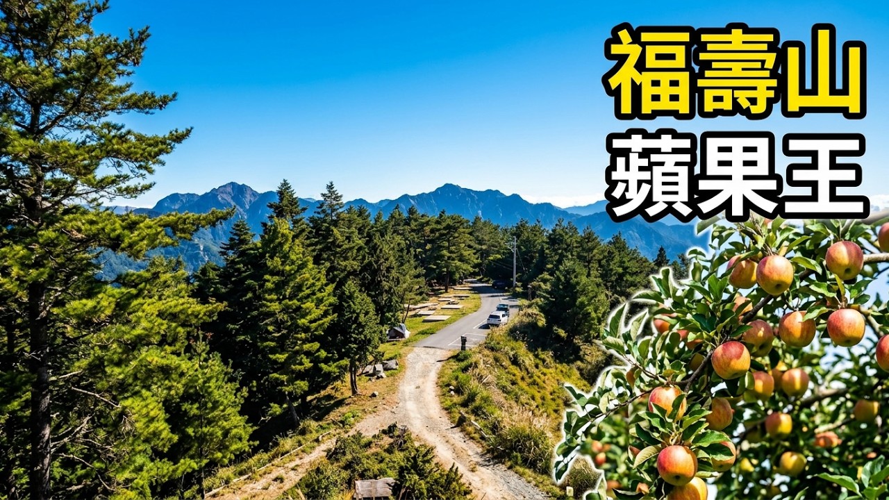 福壽山農場露營區二訪，探視蘋果王。#福壽山農場 #蘋果王#travel #camping #kgm무쏘 #旅行 #travel 