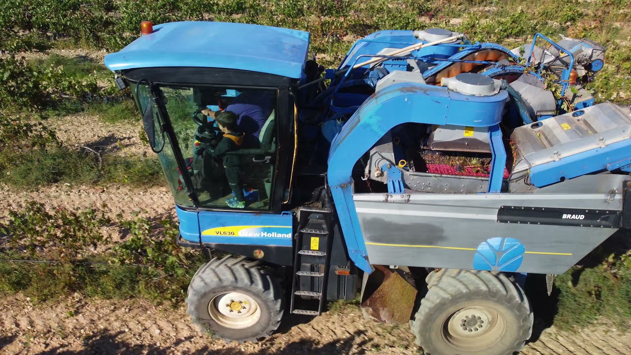 Vendimiadora New Holland Braud VL630