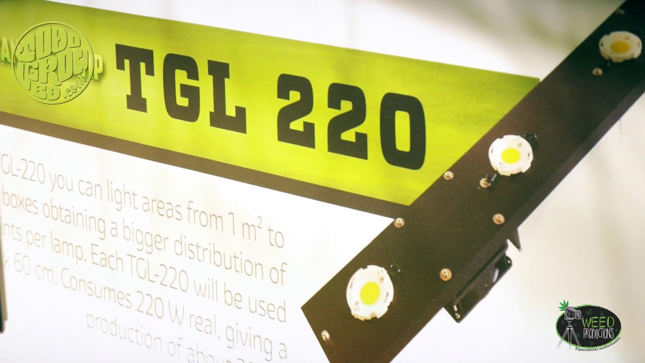 TODOGROWLED EN SPANNABIS 2019