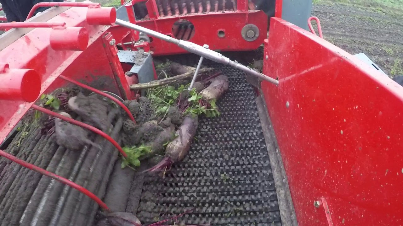 Unia Bolko potato harvester and John Deere