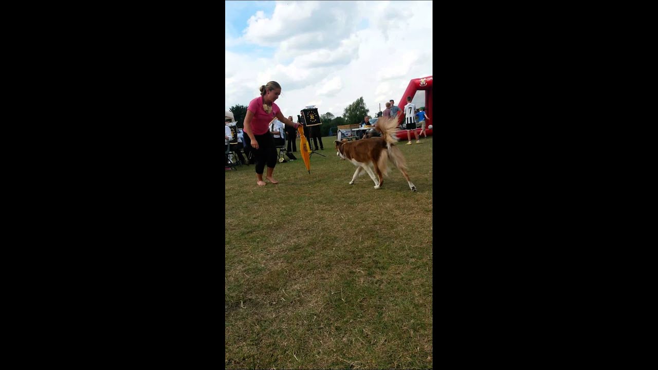 Dancing dogs to Foss dyke band