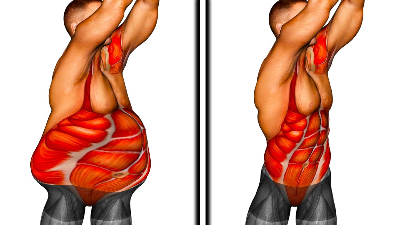 If You want to Lose Weight (Do These 15 Exercises)