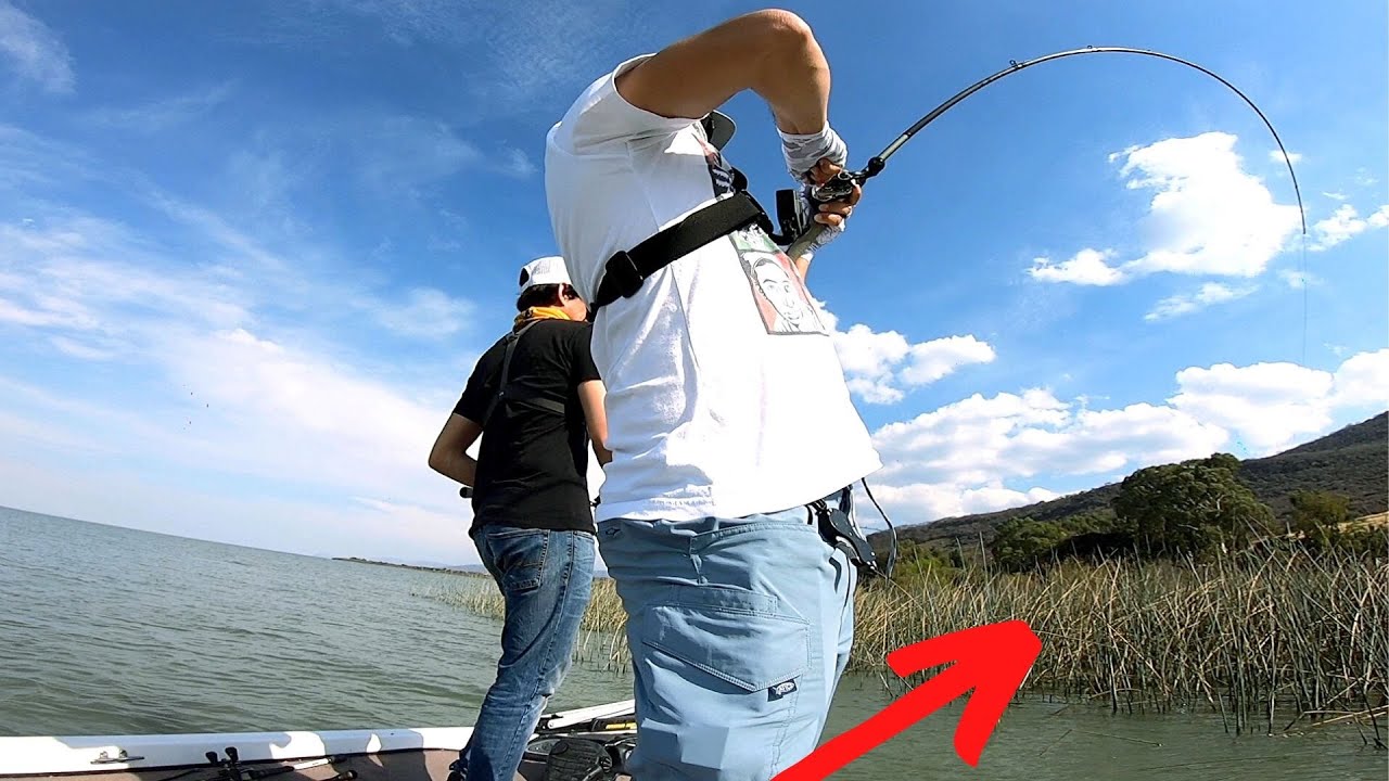 La Mejor Pesca del Mundo!! Chapala 2020