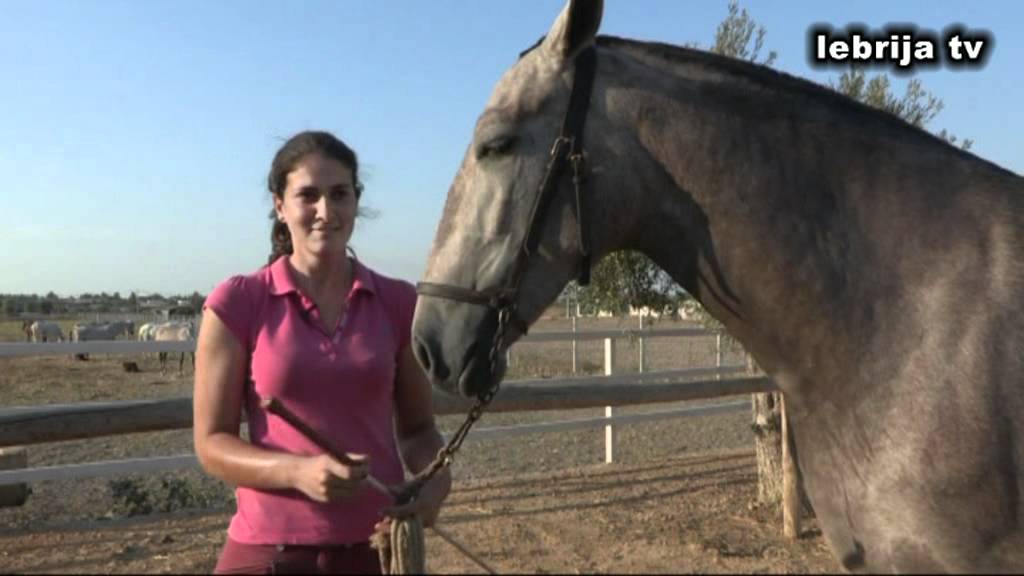 REPORTAJE A YEGUADA LAS ARENAS EN LEBRIJA TELEVISION