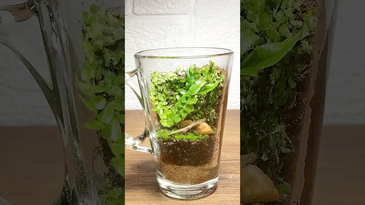 DIY Terrarium From Backyard Moss & Fern!