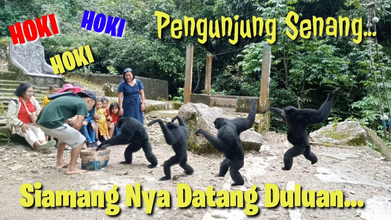 Pesona SINELLI Buat Pengunjung Ngakakk..