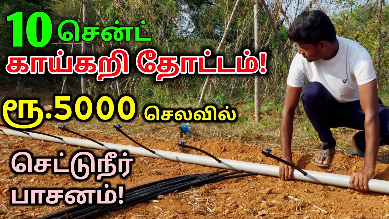 10 சென்ட் காய்கறி தோட்டம்! | ரூ.5000 -செலவில் சொட்டு நீர்பாசனம்!