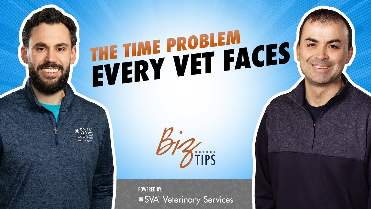 How Veterinary Owners Can Find Time to Work On Their Practice