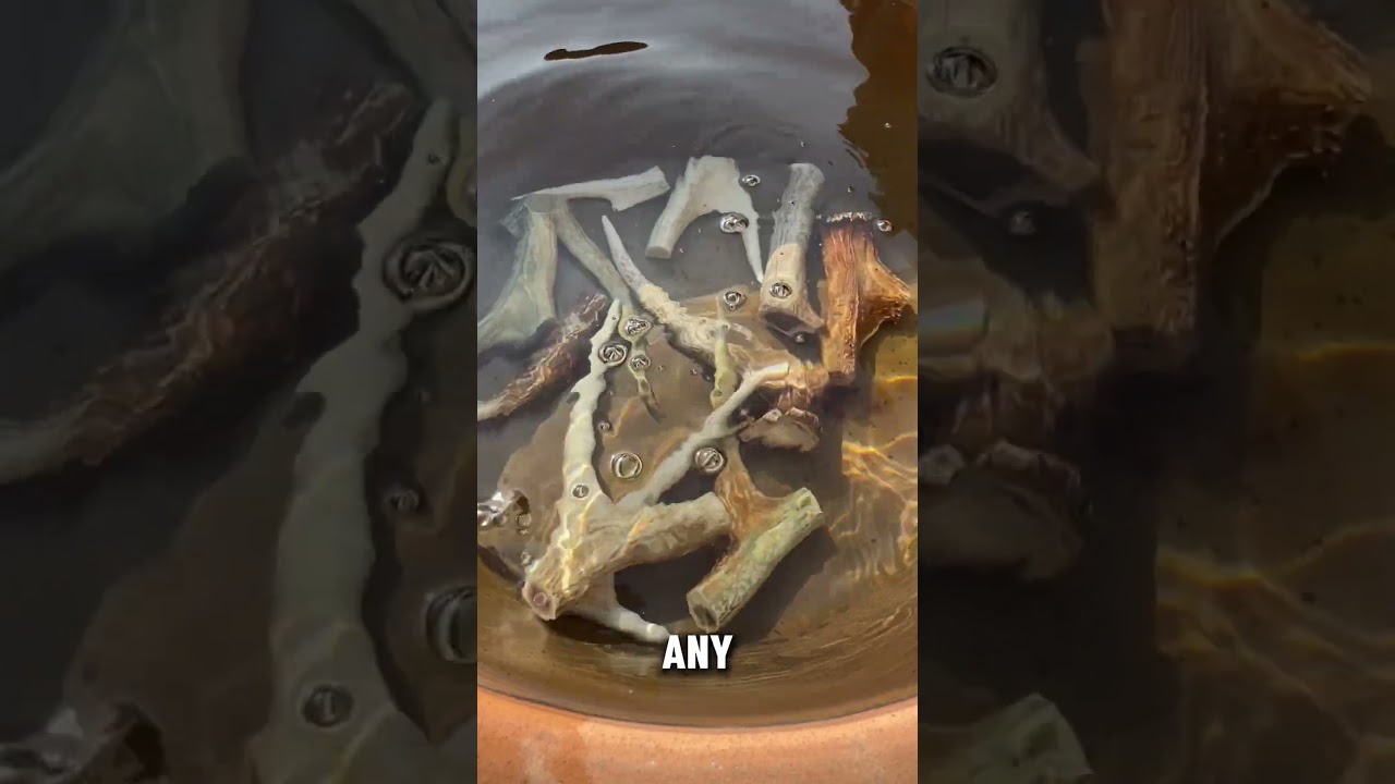 How Animal Horns Are Transformed into Gelatin