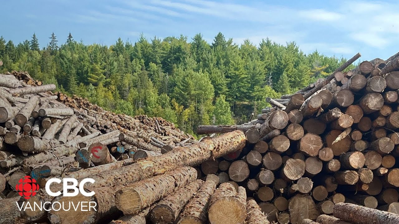 What are the biggest challenges B.C.'s forestry industry is facing today?